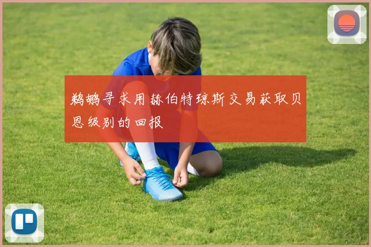 鹈鹕寻求用赫伯特琼斯交易获取贝恩级别的回报