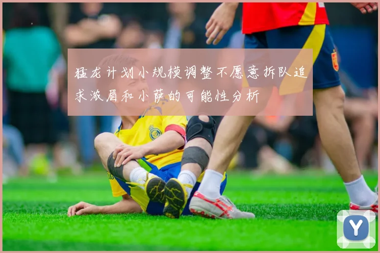 猛龙计划小规模调整不愿意拆队追求浓眉和小萨的可能性分析