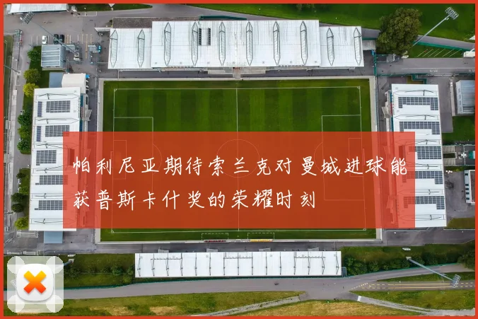 帕利尼亚期待索兰克对曼城进球能获普斯卡什奖的荣耀时刻